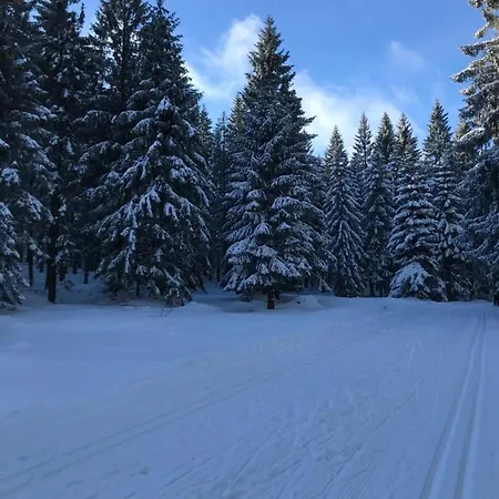 Dla Aktywnych Apartamento *