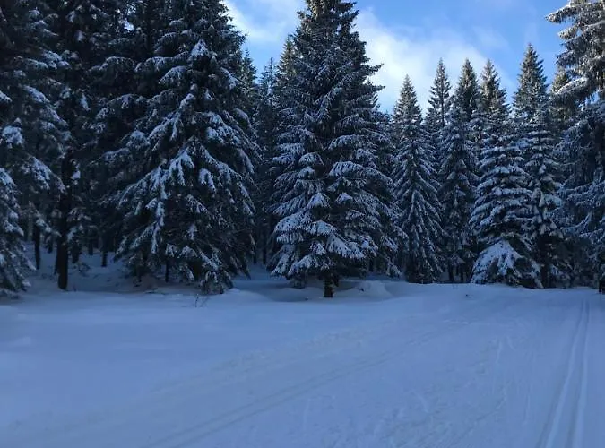 Dla Aktywnych Apartman *